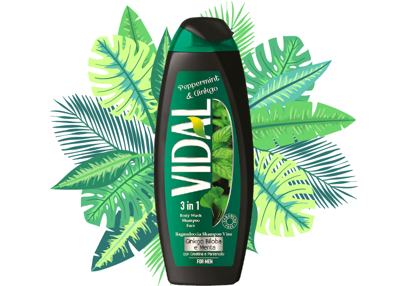 DOCCIA VIDAL MINT&GINKGO ML250
